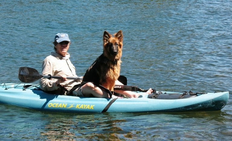 bosco kayak2 768x468